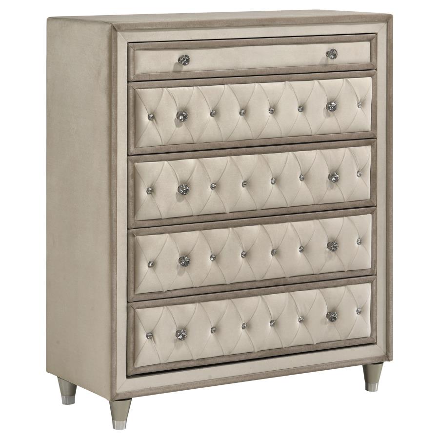 (image for) Antonella 5-drawer Bedroom Chest Ivory and Camel