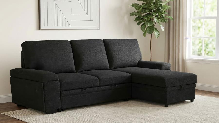 (image for) Demko Sleeper Sectional Sofa with Speaker and Storage Chaise Black